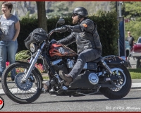 TSR Watermark - 0613